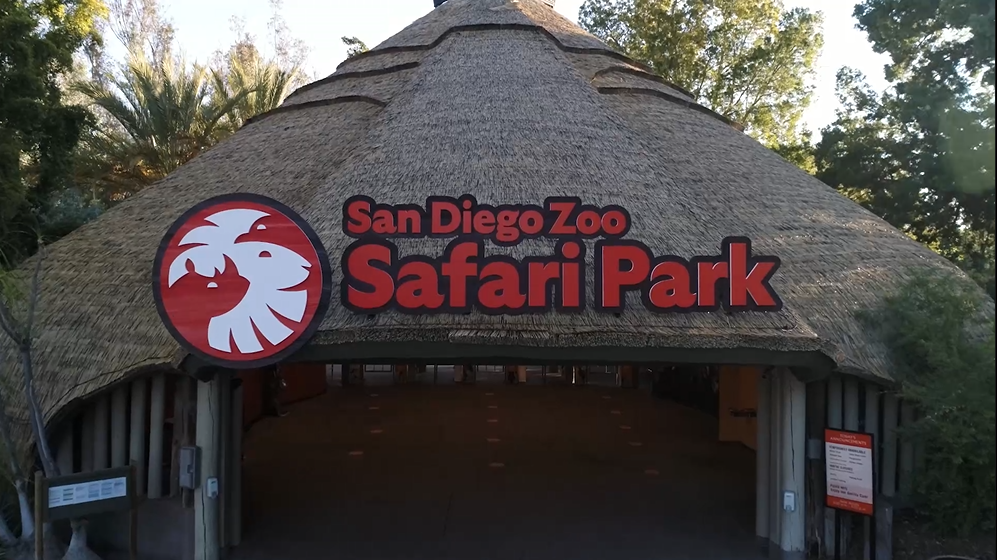 Entrada Gratis Para Mayores De 65 Aos Al Safari Park De San Diego.jpg