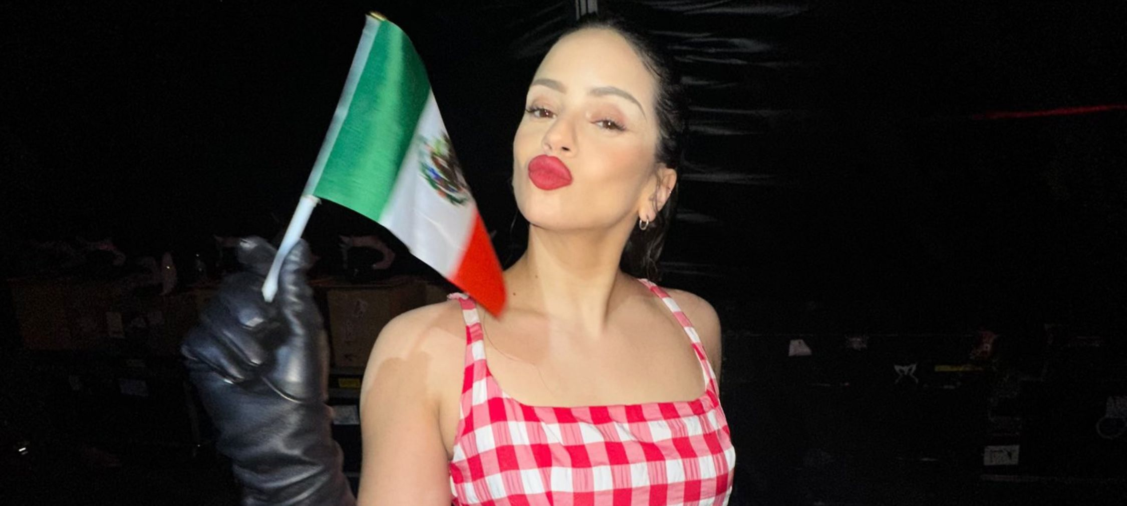 Esta es la multa que Rosalía pagaría por pintar la bandera de México